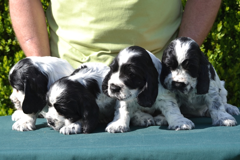 25-Habi, Hanny, Hart, Haidi.JPG